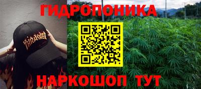 скорость Шелехов