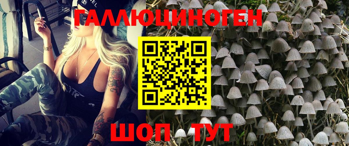 Богородск  Псилоцибиновые грибы мухоморы  Вход с VPN 