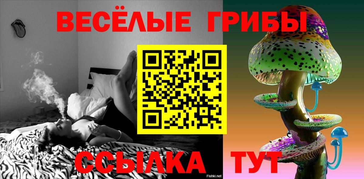 Галлюциногенные грибы мицелий Богородск